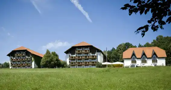 Michel & Friends Waldkirchen - 13