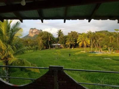 Nelu Villa Sigiriya - 19