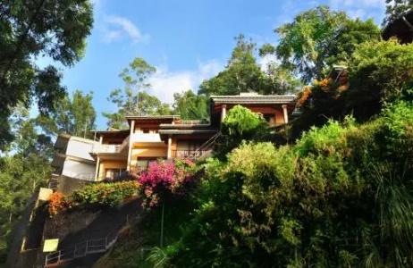 Sky Green Resort - 3