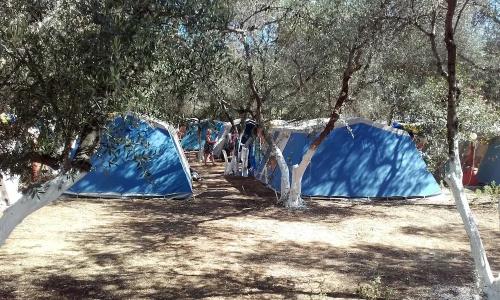 Camping Chania - 67