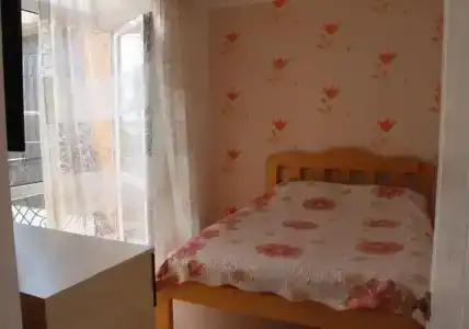Альбатрос - 2