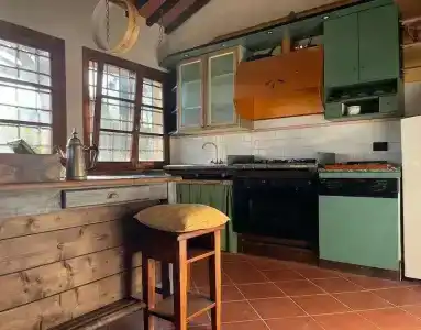 Gatto Bianco Tizzauli - 27