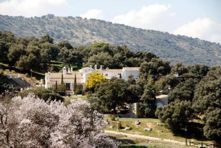 Los Pilares de Ronda Boutique & - 41