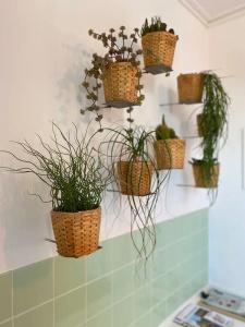 Credible - 29
