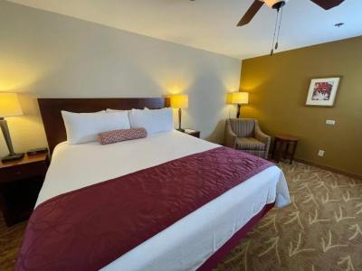 Governors Inn - 20