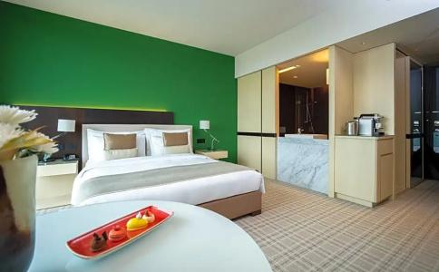 Crowne Plaza Geneva, An Ihg - 60