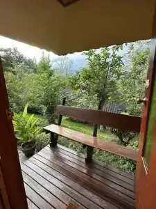 Pura Vida - 85