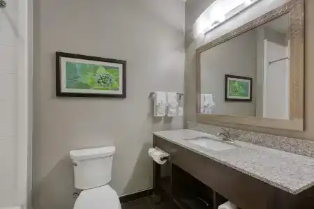 Best Western Plus Tech Medical Center Inn - 84