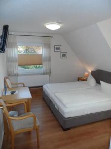 Waldquelle - 30