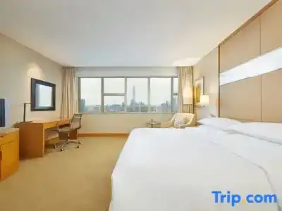 Four Points by Sheraton Shenzhen - 118