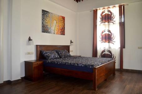 Green Parrot Beach Resort - 4
