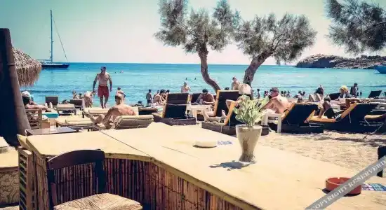 Paradise Beach Camping - 2