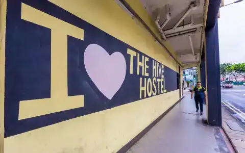 The Hive - 16