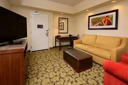 Hilton Garden Inn Airport - 86