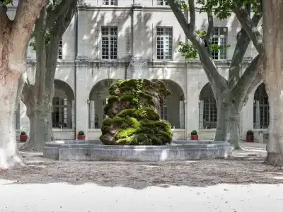 Hôtel Cloitre Saint Louis Avignon - 65