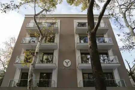 The y - 0