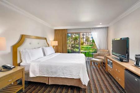 Holiday Inn San Diego Bayside, An Ihg - 61