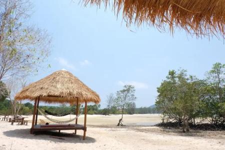 Dolphin Bay - 14