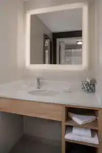 SpringHill Suites by Marriott Convention Center - 46