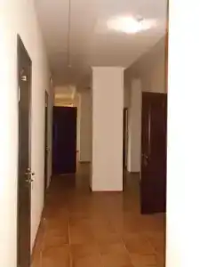 Ной - 10