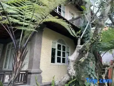 Wana Karsa Ubud - 100