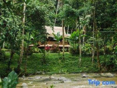 Permata Ayung Private Estate (Adults Only) - 194