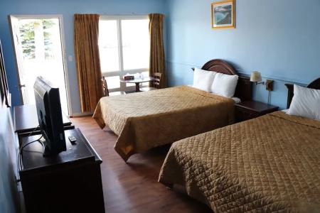 Falcon Inn - 109