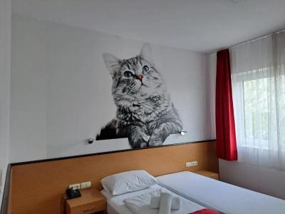 Komfort Wiesbaden - 30