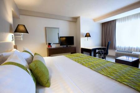 Holiday Inn Puebla La Noria, An Ihg - 55