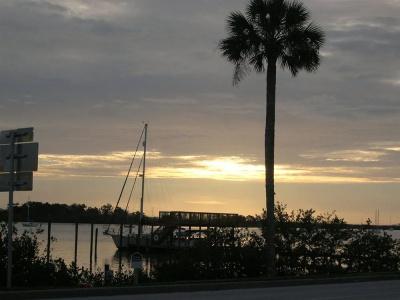 Night Swan Intracoastal - 13