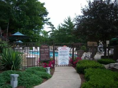 Tall Pines - 13