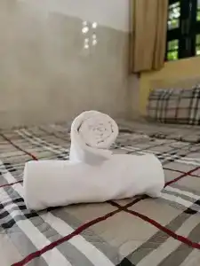 Lan Anh - 33