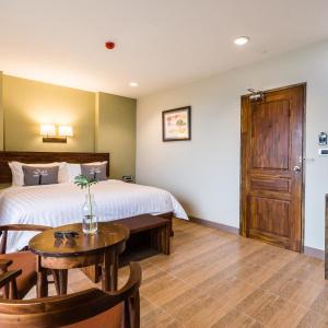 Olive Tree - 23