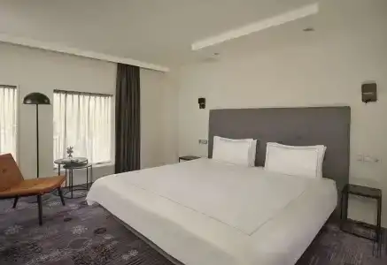Park Plaza Eindhoven - 27