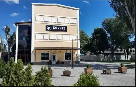 Койот - 0