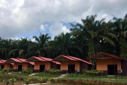 Khao Sok Evergreen House - 55