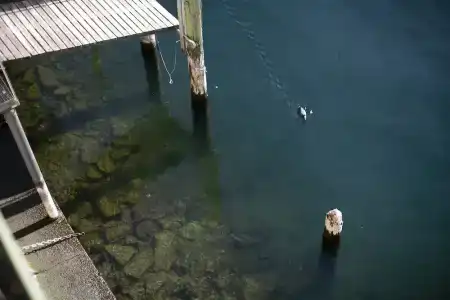 Darsena di Riva Grande - 49