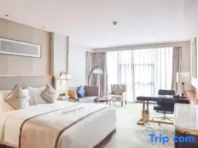 Wyndham Grand Plaza Royale Chongqing - 50