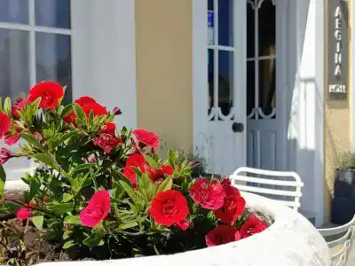 Aegina - 50
