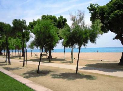 Càmping Bellsol - 17