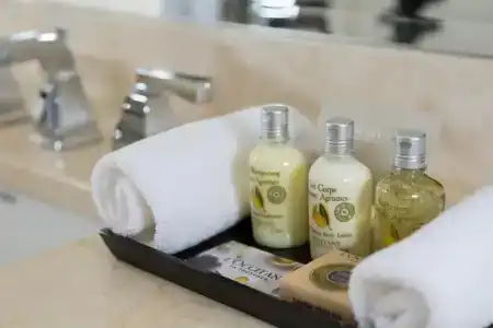 The St. Regis - 31