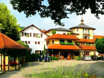 Rebstock Durbach - 14