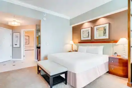 Jet Luxury at The Vdara - 44