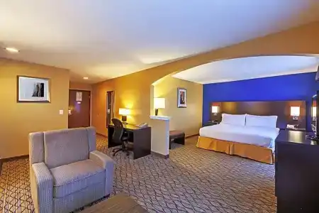 Holiday Inn Express & Suites Houston-Downtown Convention Center, An Ihg - 74