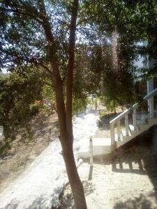 Sunrise Resort - 32