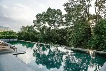 Treeline Urban Resort - 15