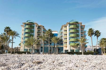 Kaktus Albir - 26