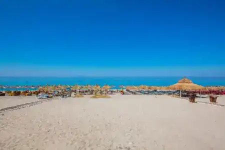 Delight Beach - 7