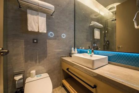 Holiday Inn Express Shenzhen Nanshan, An Ihg - 72