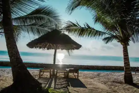 Uroa Bay Beach - 45